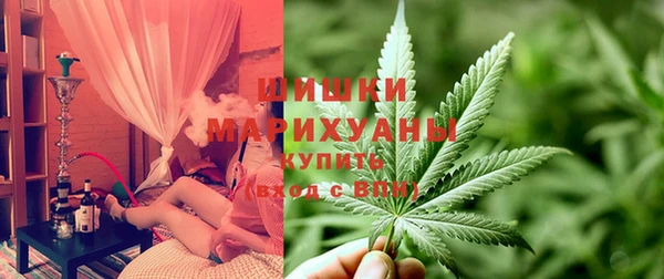 дживик Алзамай