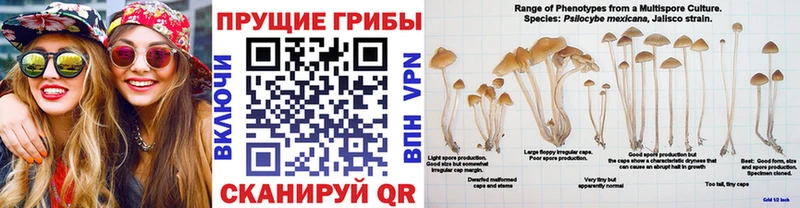 Псилоцибиновые грибы прущие грибы Красноуральск