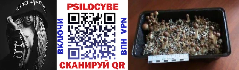 Галлюциногенные грибы мухоморы  купить   Красноуральск 